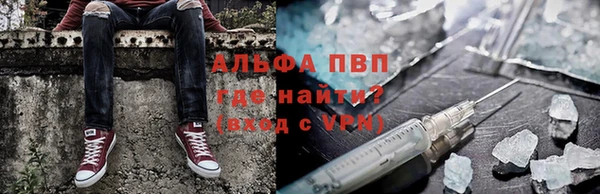 сатива Алексин